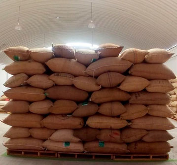 Kaffeesäcke bei der Kooperative CoroAX in Mexiko Arabica Biokaffee
