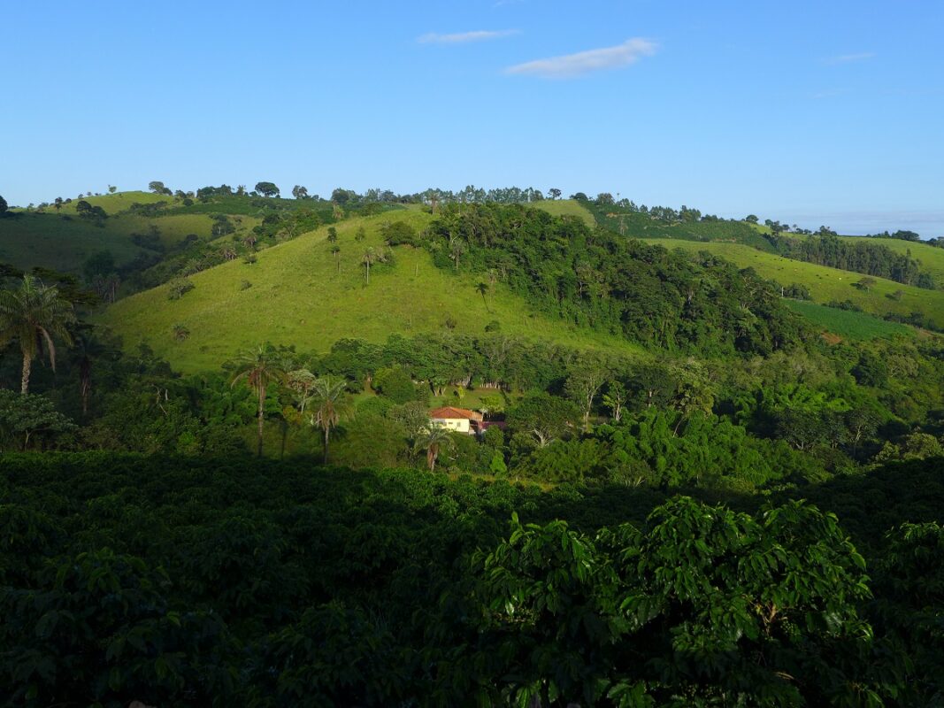 Fazenda Pinheirense in Brasilien